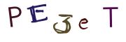 圖片的 CAPTCHA