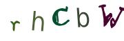 圖片的 CAPTCHA